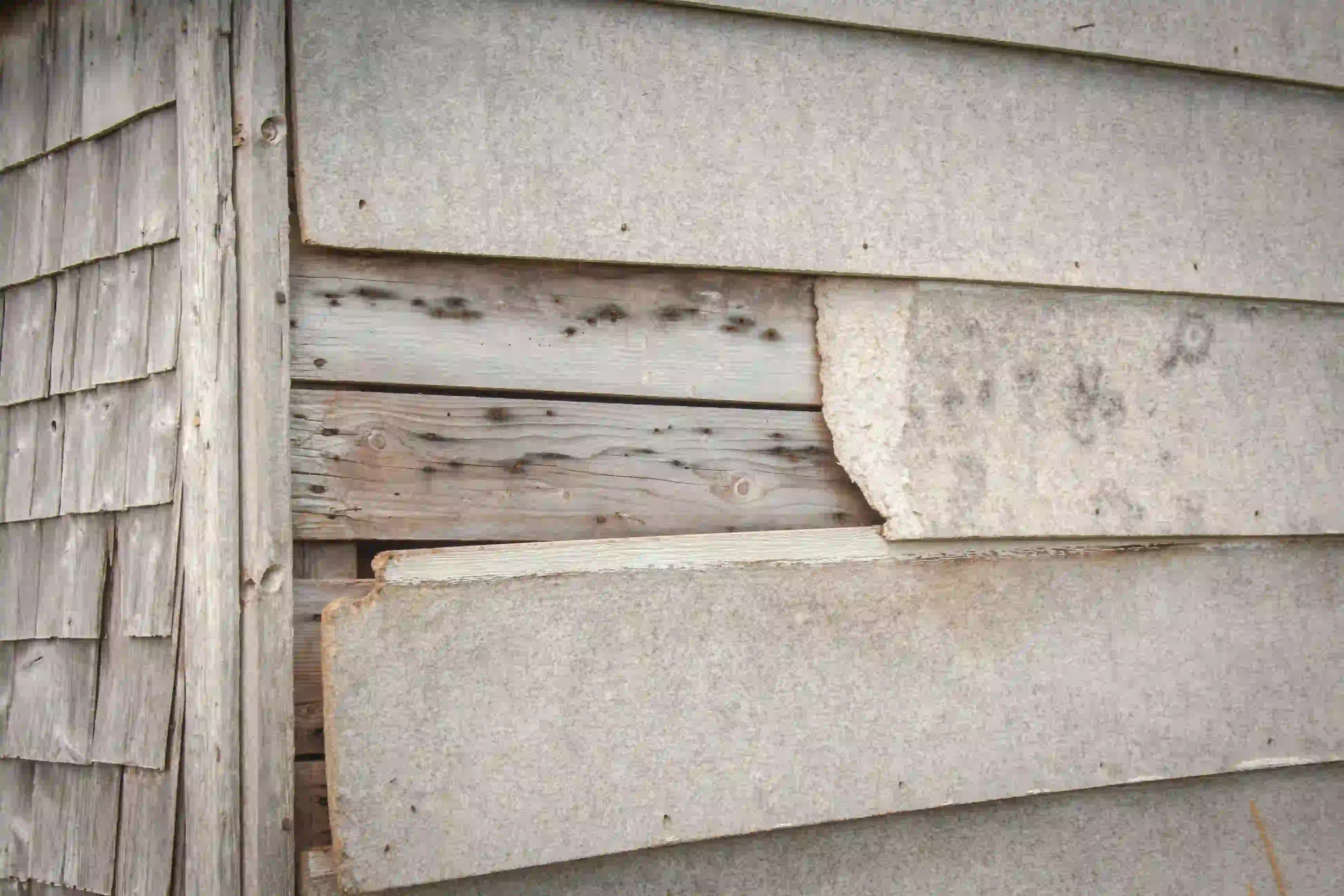 Worn wooden wall with peeling gray paint showing hidden rot